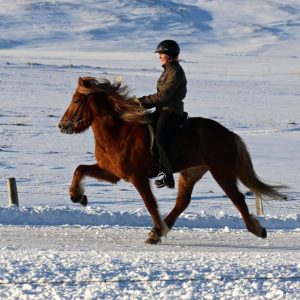 Arya from Garðshorni